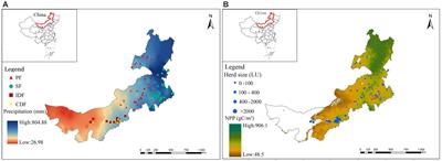 Nitrogen use efficiencies, flows, and losses of typical dairy farming systems in Inner Mongolia